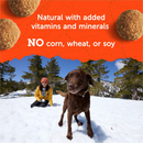 Zuke’s Adventure Bites Dog Treats (6 oz) - Dog Treats 7