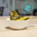 ZuPreem FruitBlend Flavor Bird Food for Medium Birds 2-lb - Bird Food 6