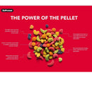 ZuPreem Natural Bird Food Large Parrots