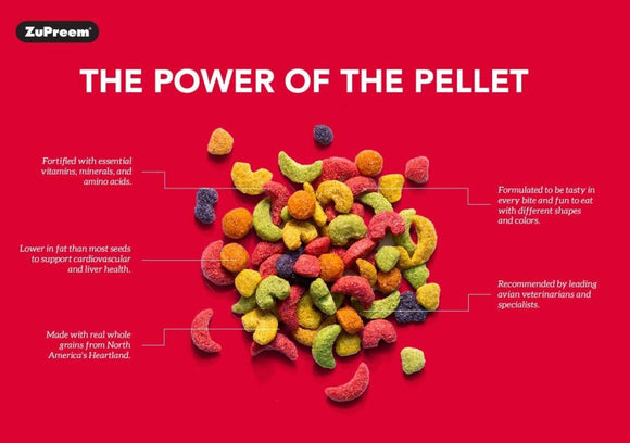 Zupreem Smart Selects Food for Large Birds 4-lb - Bird Food 4