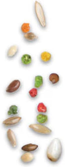 Zupreem Smart Selects Food for Very Small Birds 2-lb - Bird Food 8