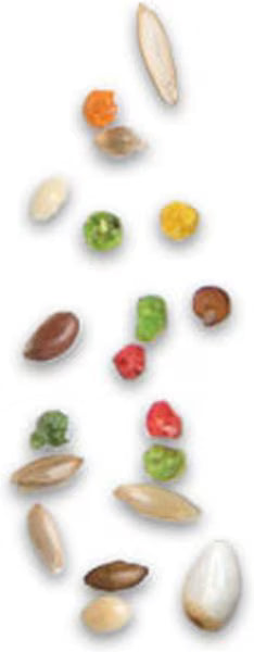 Zupreem Smart Selects Food for Very Small Birds 2-lb - Bird Food 8