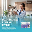 Zylkene Calming Capsules - 450mg - Dog Supplements & Vitamins 8