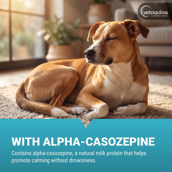 Zylkene Calming Capsules - 450mg - Dog Supplements & Vitamins 9