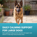 Zylkene Calming Capsules - 450mg - Dog Supplements & Vitamins 7