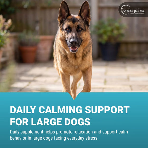 Zylkene Calming Capsules - 450mg - Dog Supplements & Vitamins 7