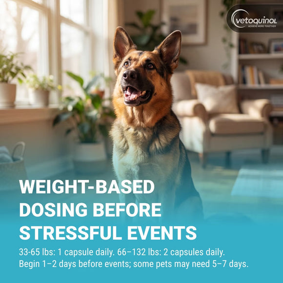 Zylkene Calming Capsules - 450mg - Dog Supplements & Vitamins 10