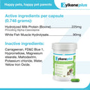 Zylkene Plus Long-Term Calming Support (30 capsules) - Dog & Cat Calming & Anxiety Supplements 7