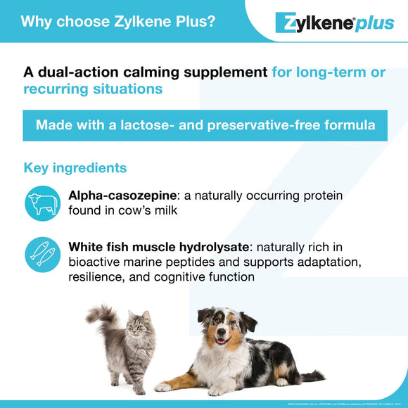 Zylkene Plus Long-Term Calming Support (30 capsules) - Dog & Cat Calming & Anxiety Supplements 4