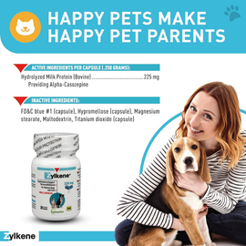 Zylkene Plus Long-Term Calming