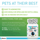 pets at their best
