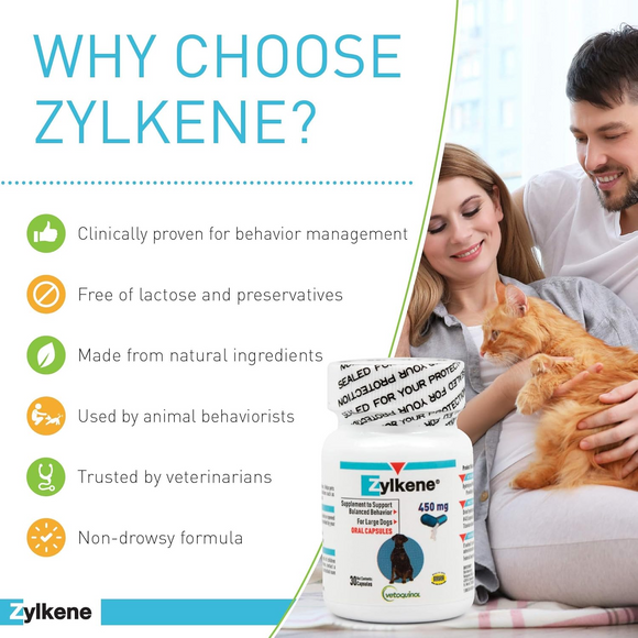 helps pets adapt calmly