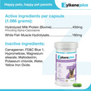 Zylkene Plus Long-Term Calming Support (30 capsules) - Dog & Cat Calming & Anxiety Supplements 14