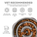 Outward Hound Fun Feeder Slo Bowl Slow Feeder Bowl Grey For Dog (Medium / Mini)