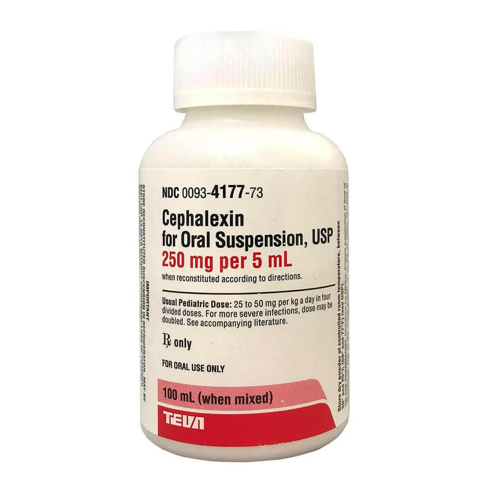 Cephalexin Oral Suspension 250mg - Effective Pet Antibiotic