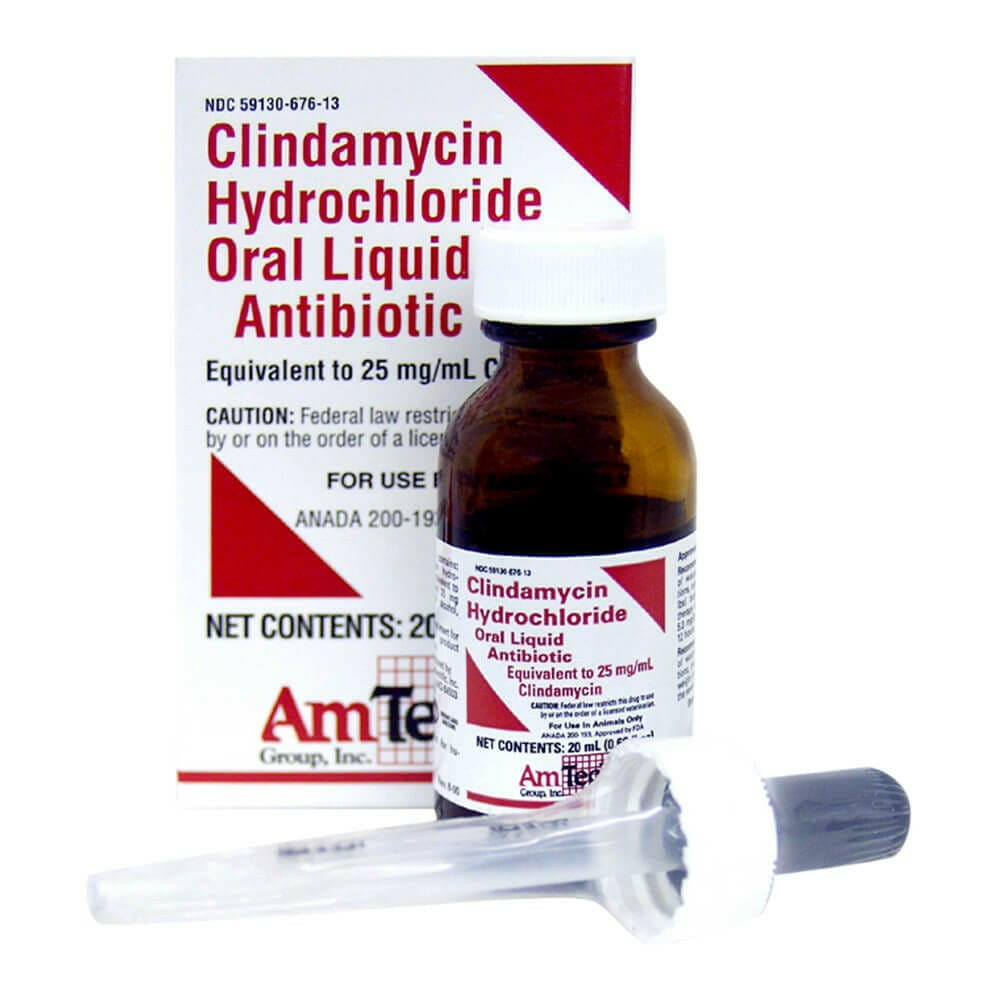 Clindamycin 25mg/ml Oral Drops (20ml)