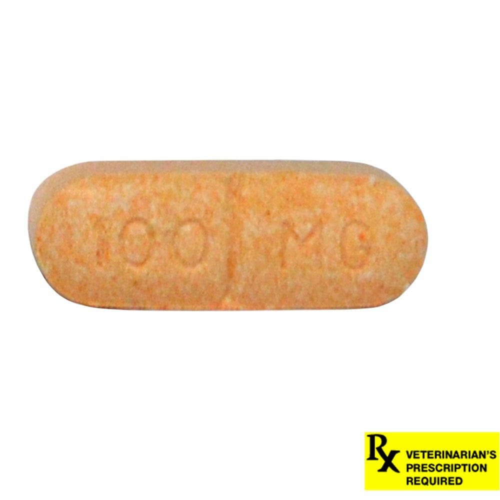 Novox (Carprofen) Caplets, 100mg