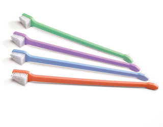 C.E.T. Dual-Ended Toothbrush (color varies)