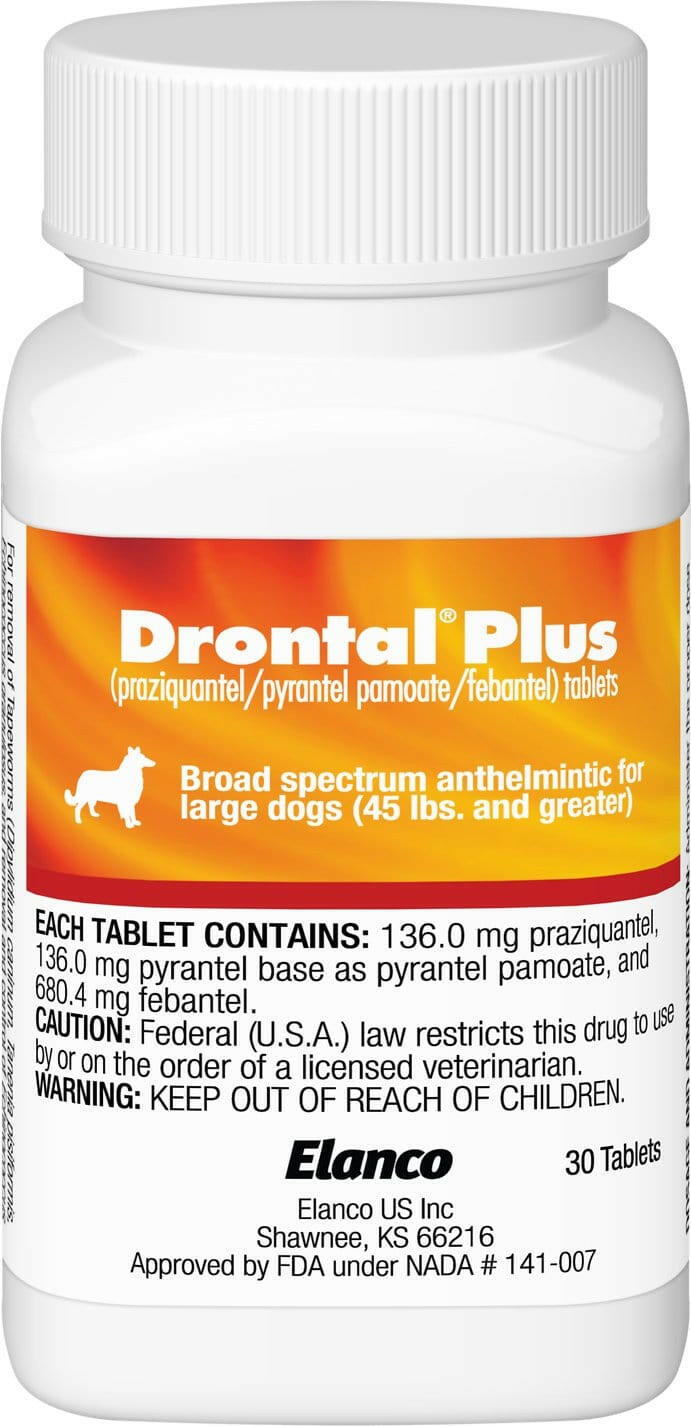 drontal plus for dogs