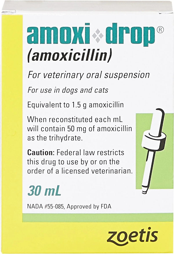 Amoxi-Drop (Amoxicillin) Oral Suspension for Dogs & Cats (50 mg/ml)