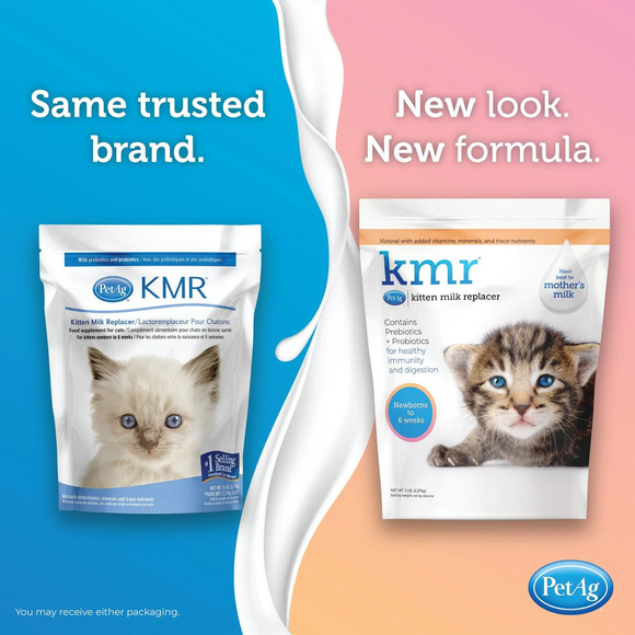 petag kmr kitten milk replacer