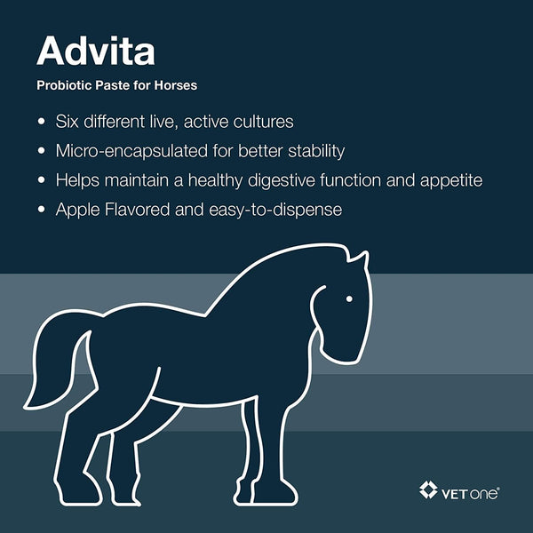 Advita Probiotic Paste for Horses (30g tube)