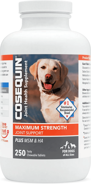Cosequin® Maximum Strength Plus MSM & HA Joint Health Supplement (250 chewable tablets)