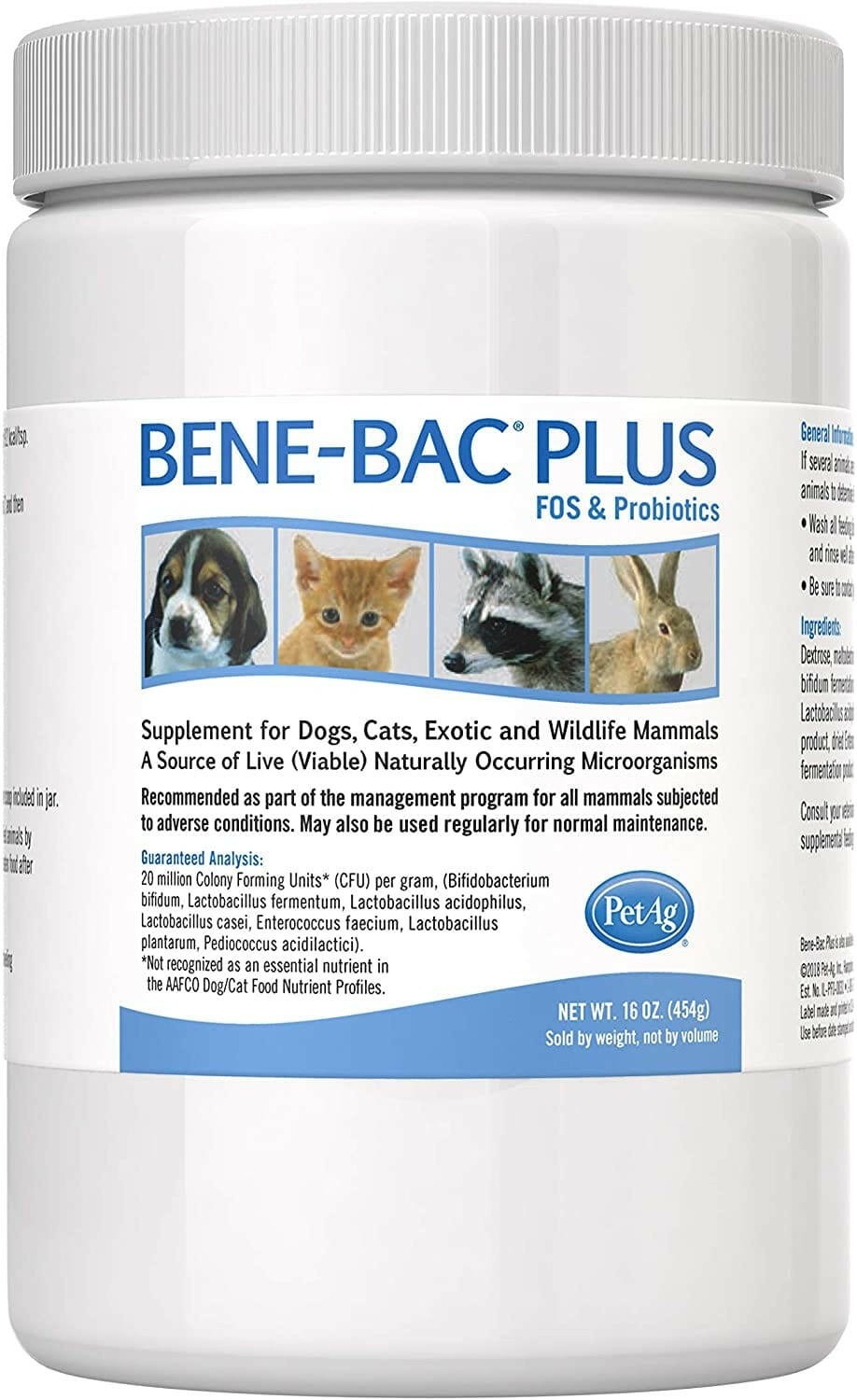 bene bac plus powder