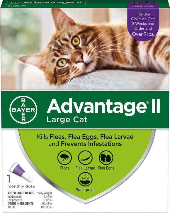 Advantage II Flea Control for Large Cats (Over 9 lbs) Purple Box