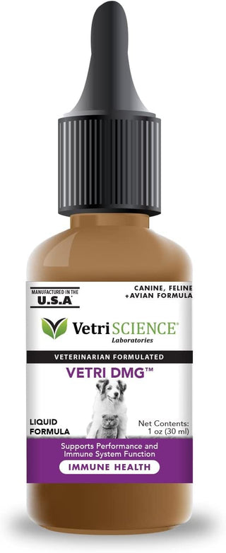 VetriScience Vetri DMG Liquid Immune Supplement for Dogs & Cats