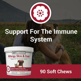 Vet Classics Allergy Skin & Coat Soft Chews for Dogs & Cats (90 chews) - 0