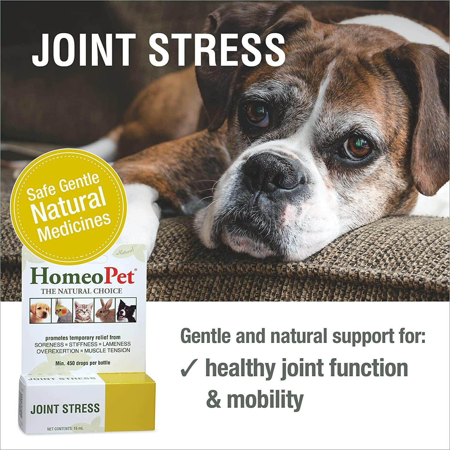 HomeoPet Joint Stress (15 ml) - 0