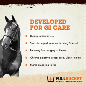 FullBucket Equine Probiotic Pellets (30 Servings) - 0