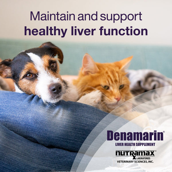 Denamarin for Cats and Small Dogs (3 bottles, 90 tablets)