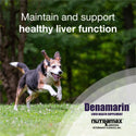 Nutramax Denamarin Liver Health Supplement for Medium Dogs - With S-Adenosylmethionine (SAMe) and Silybin, 30 Tablets