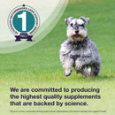 Nutramax Denamarin Liver Health Supplement for Medium Dogs - With S-Adenosylmethionine (SAMe) and Silybin-7