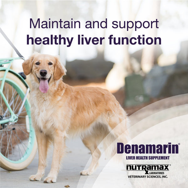 Denamarin for Large Dogs (beige tablet, bottle)