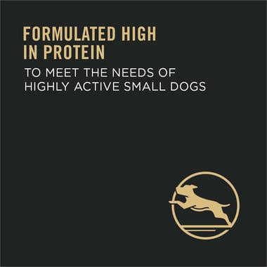 Purina Pro Plan Adult Small Breed Formula Dry Dog Food