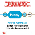 Royal Canin Breed Health Nutrition Labrador Retriever Puppy Dry Dog Food