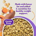 Halo Holistic Complete Digestive Health Grain Free Turkey and Sweet Potato Dog Food Recipe Adult Dry Dog Food