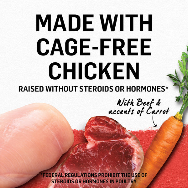 Purina Beyond Cage-Free Chicken, Beef & Carrot Recipe in Gravy Canned Cat Food