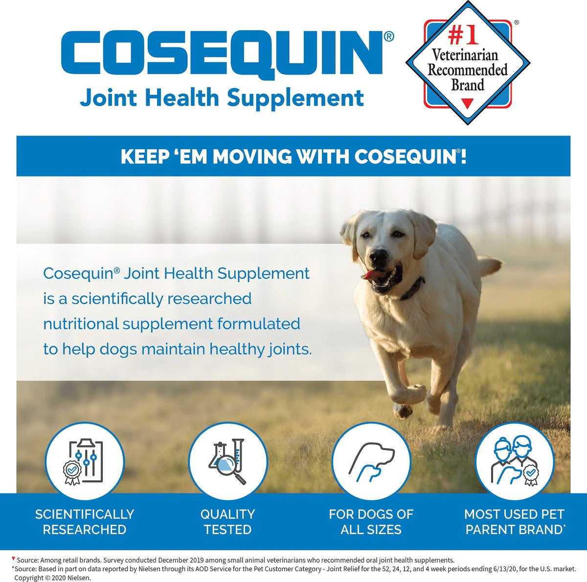 Nutramax Cosequin Maximum Strength Joint Health Supplement for Dogs - With Glucosamine, Chondroitin, and MSM