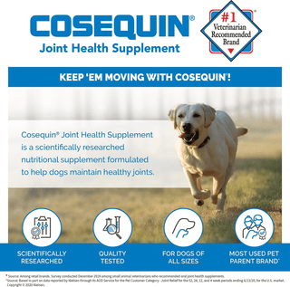 Cosequin® Maximum Strength Plus MSM Joint Health Supplement (250 chewable tablets)