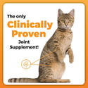 VetriScience GlycoFlex Plus for Cats (30 soft chews)