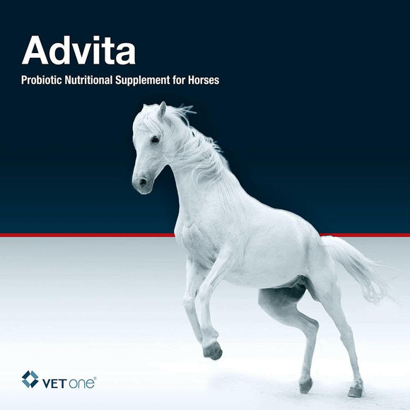 Advita Probiotic Paste for Horses (30g tube)