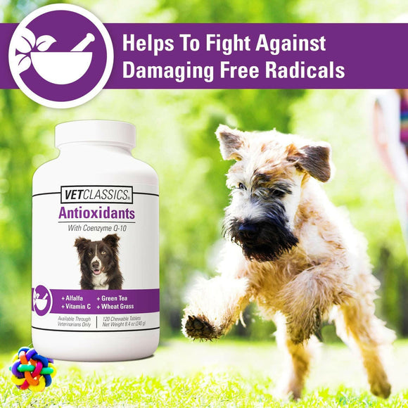 Vet Classics Antioxidants With Coenzyme Q-10 for Dogs (120 chewable tablets)