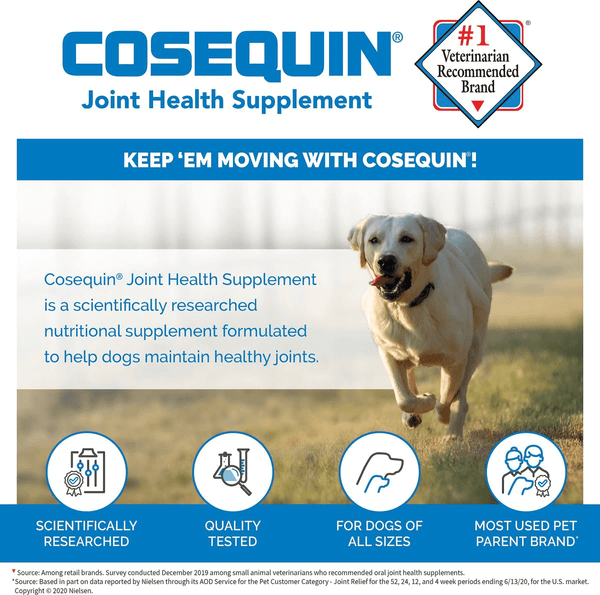 Nutramax Cosequin Joint Health Supplement for Dogs - With Glucosamine, Chondroitin, MSM, and Omega-3's, 120 Soft Chews