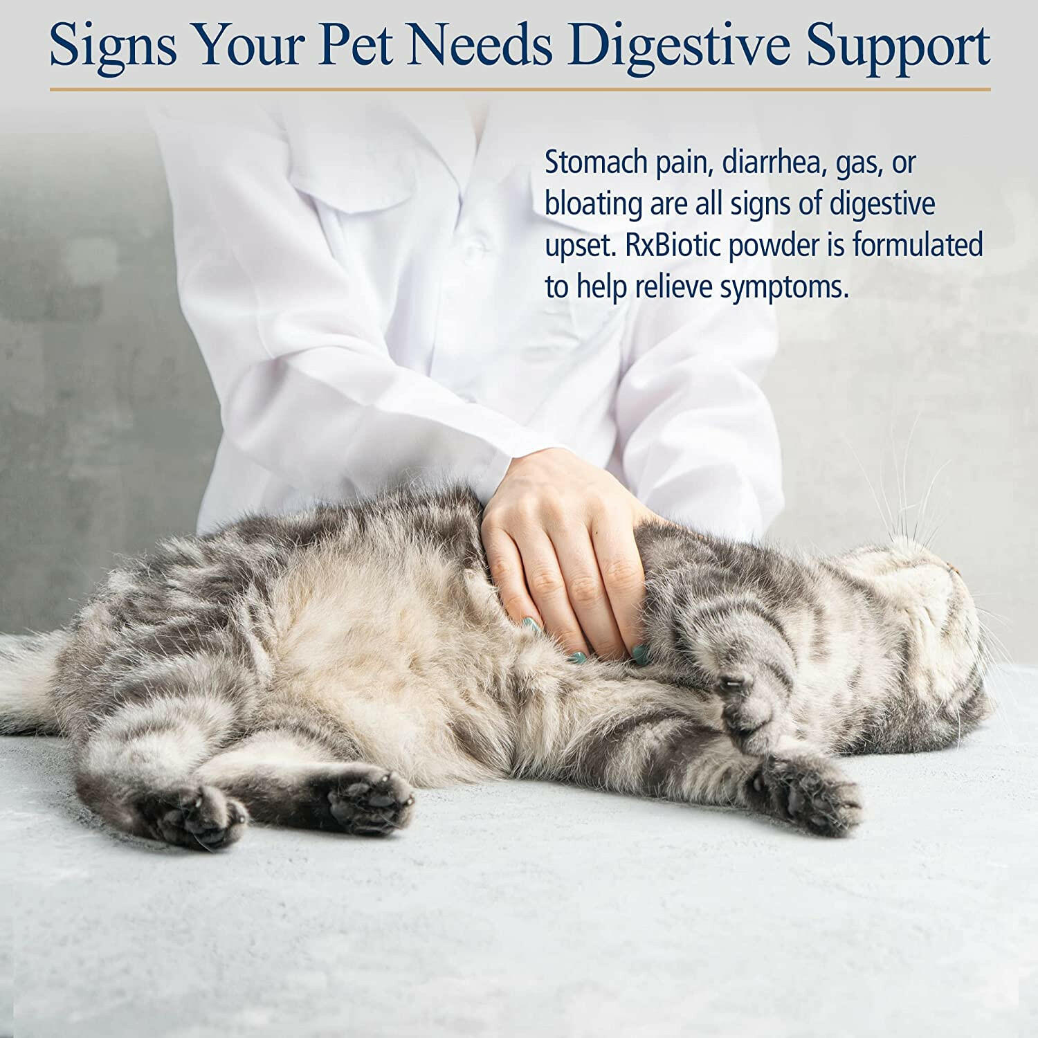 Rx Biotic Powder Digestive Supplement for Cats & Dogs