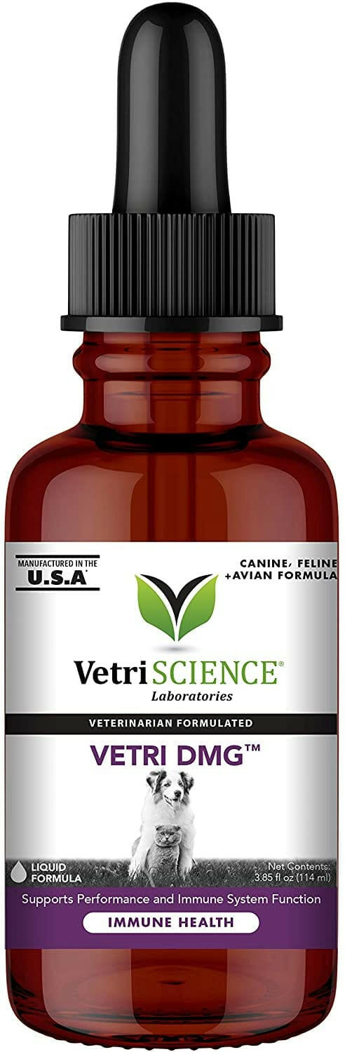 vetriscience dmg for dogs and cats