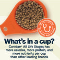 All Life Stages Large Breed Formula with Turkey Meal & Brown Rice Dry Dog Food